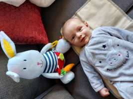 louis